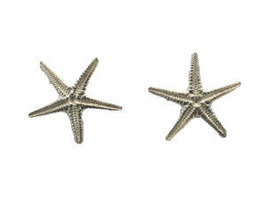 Pendientes Starfish