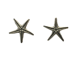 Pendientes Starfish