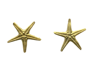 Pendientes Starfish