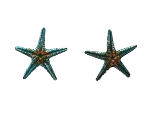 Pendientes Starfish