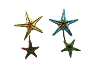Pendientes Starfish
