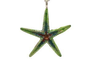 Colgante Starfish