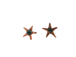 Pendientes Starfish