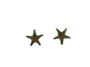 Pendientes Starfish