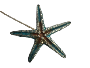 Alfiler Broche Starfish